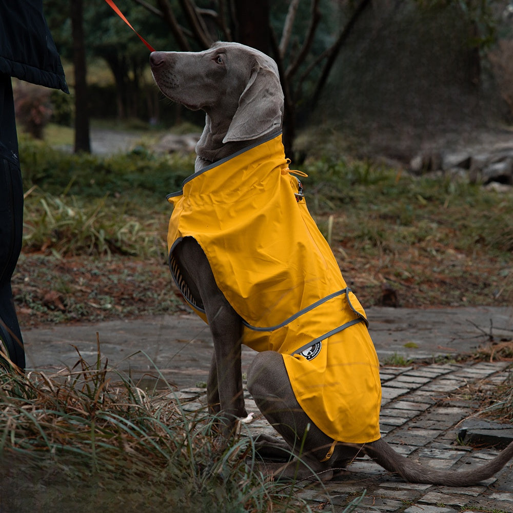 Waterproof Windproof Dog Raincoat, Polyester