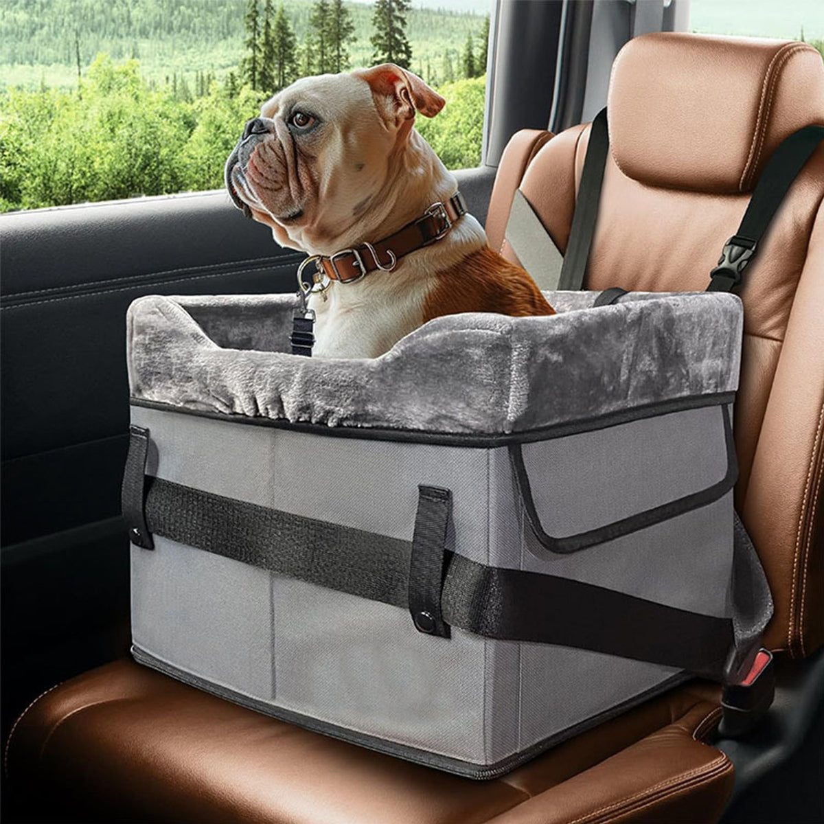 Small Dog Car Seat with Raised Walls, 39 × 37 × 34 cm