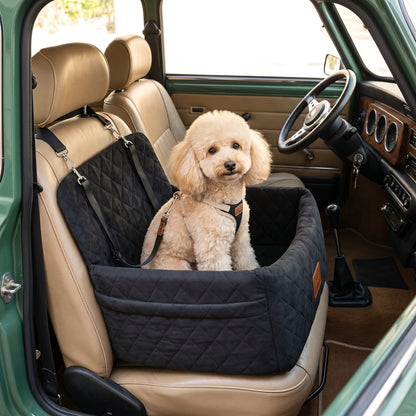 Quilted Dog Booster Car Seat with Zip-Off Cover, 45 × 45 × 35 cm, image 2 of 16