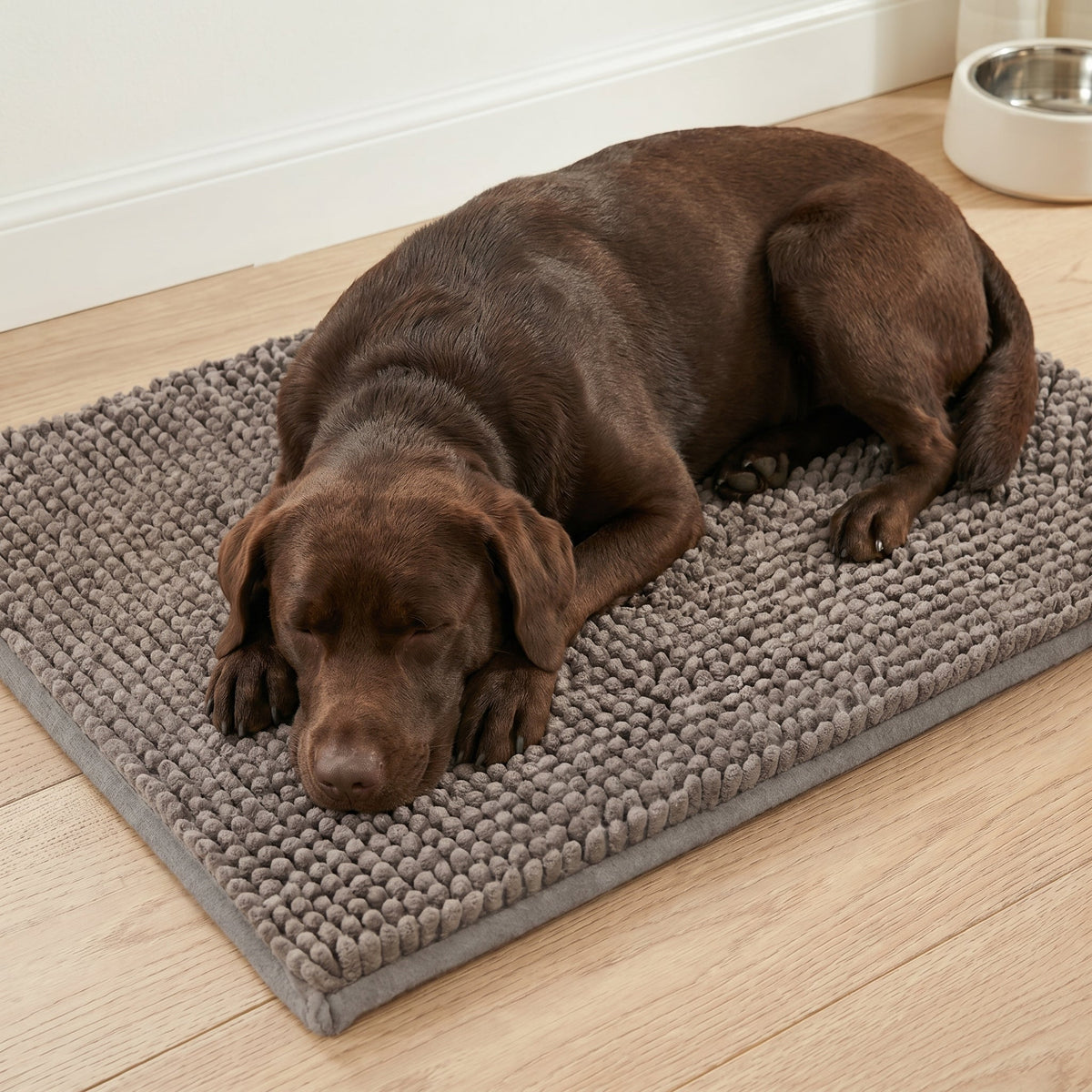 Absorbent Chenille Dog Door Mat, Non-Slip, Machine Washable, image 6 of 14