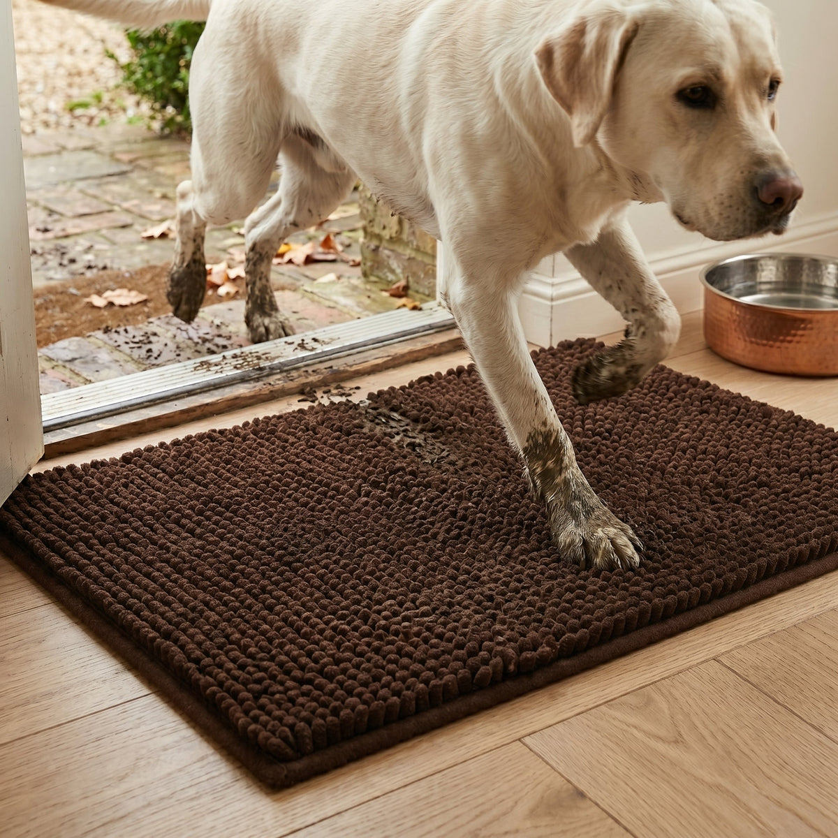 Absorbent Chenille Dog Door Mat, Non-Slip, Machine Washable, image 5 of 14
